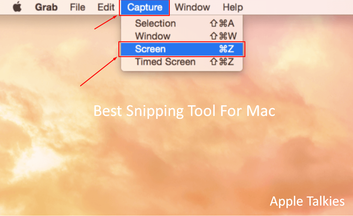 shortcut for grab tool mac